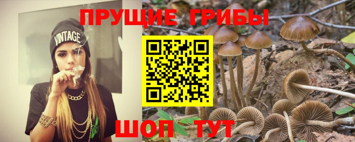 Псилоцибиновые грибы MAGIC MUSHROOMS Кубинка